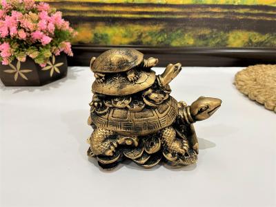 Tortoise